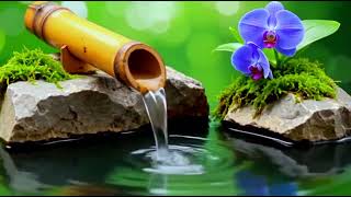 🔴Relaxation Music with Water Sounds 🌿Spa Music, Stress and Anxiety Relief, Deep sleep #insomnia