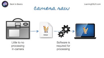 EP05: RAW vs. JPEG - Back to Basics by Learning DSLR