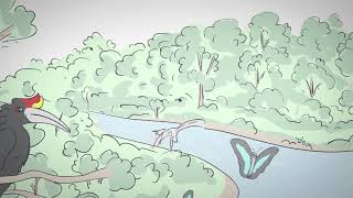 High Conservation Value (HCV) - Introduction