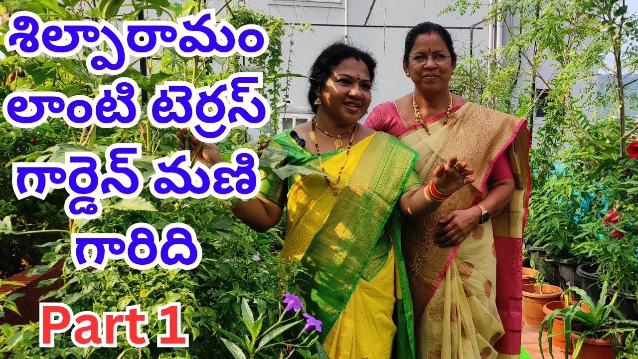 శిల్పారామం లాంటి టెర్రస్ గార్డెన్#