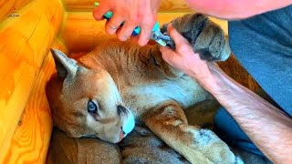 Puma Messi and his self-isolation. Manicure at home.