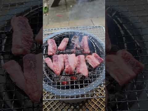 【七輪　田舎　庭キャン】バーベキュー　ハラミ　焼き肉　ソロキャン