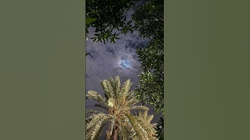 عمر ضياء الدين|سورة يوسف #اجر_لي_ولك