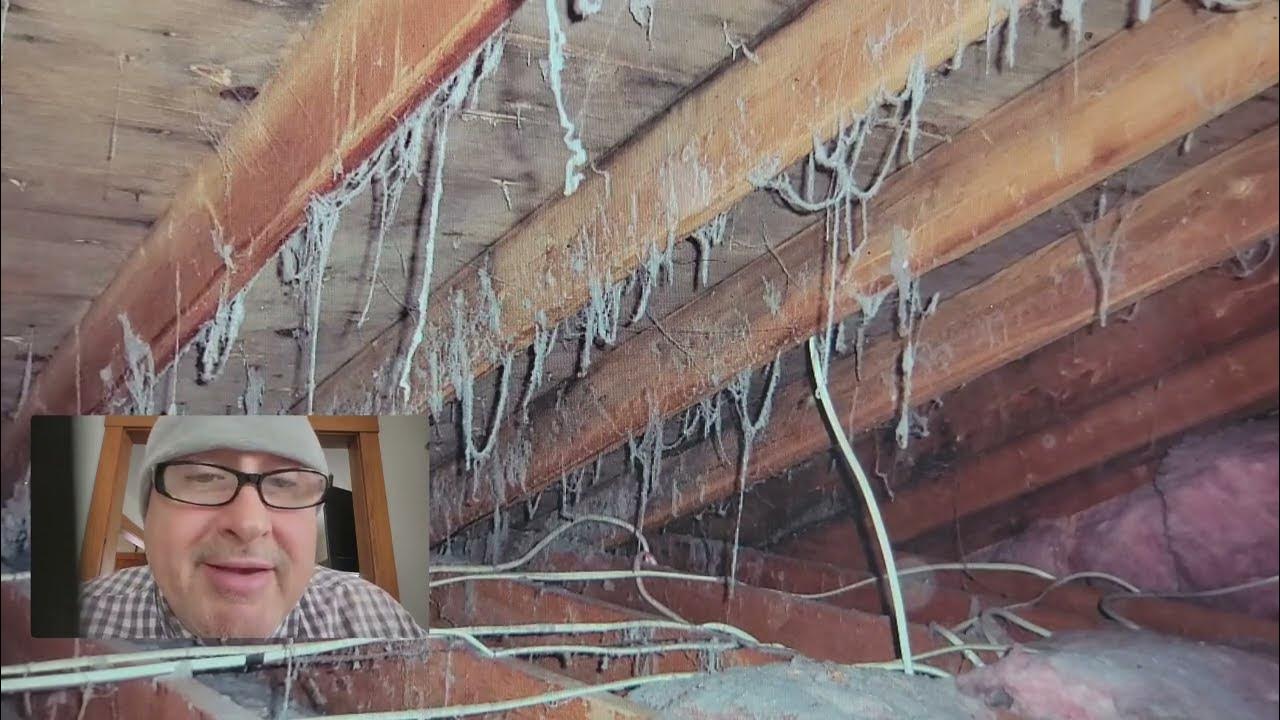 Lint in my home, leaking dryer vent in attic, how to repair dryer vent