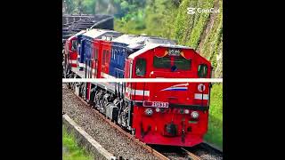 JJ hacimi Mambo versi CC 205 #jj #keretaapi #fypシ #fypシ #train #fypp #kai #shorts #cc205 #video #fyp