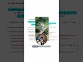 Application Question Example Walkthrough