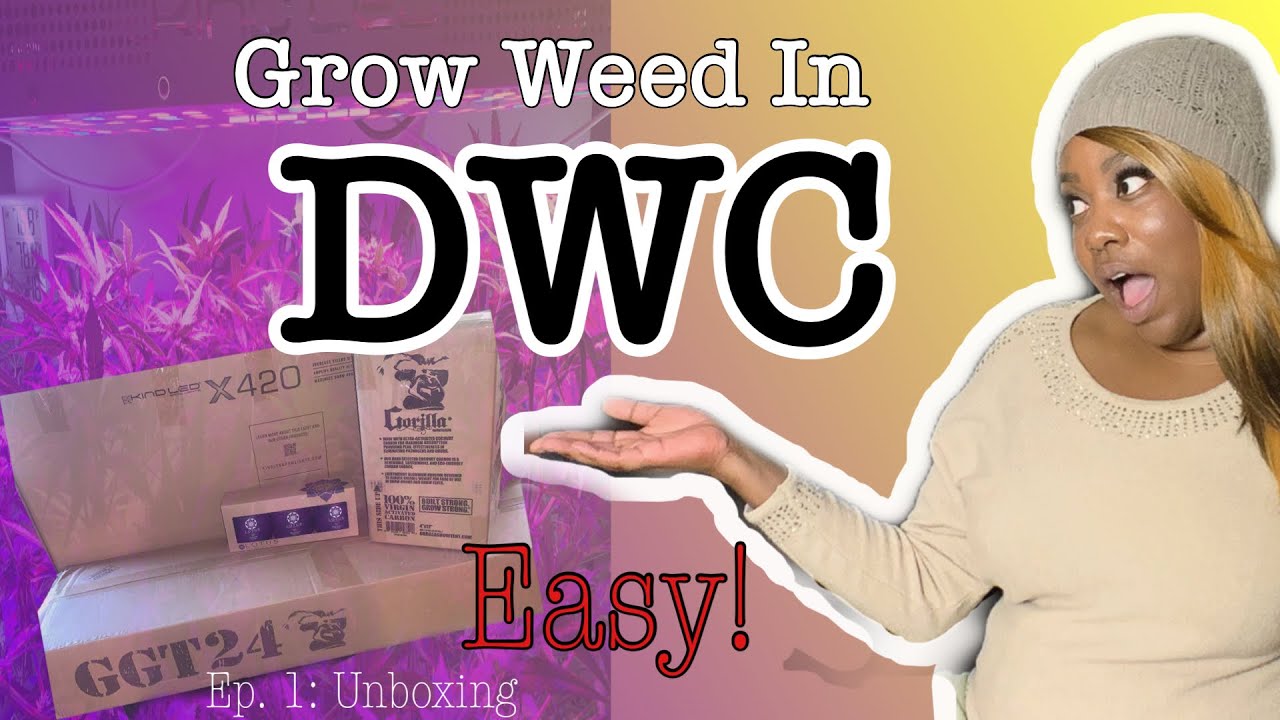 Gorilla Grow Room Review and Unboxing- Grow Strong Cup Grow-Off Series