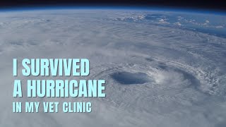 I SURVIVED A CATEGORY 5 HURRICANE In  My Veterinary Clinic | My Hurricane Maria Story