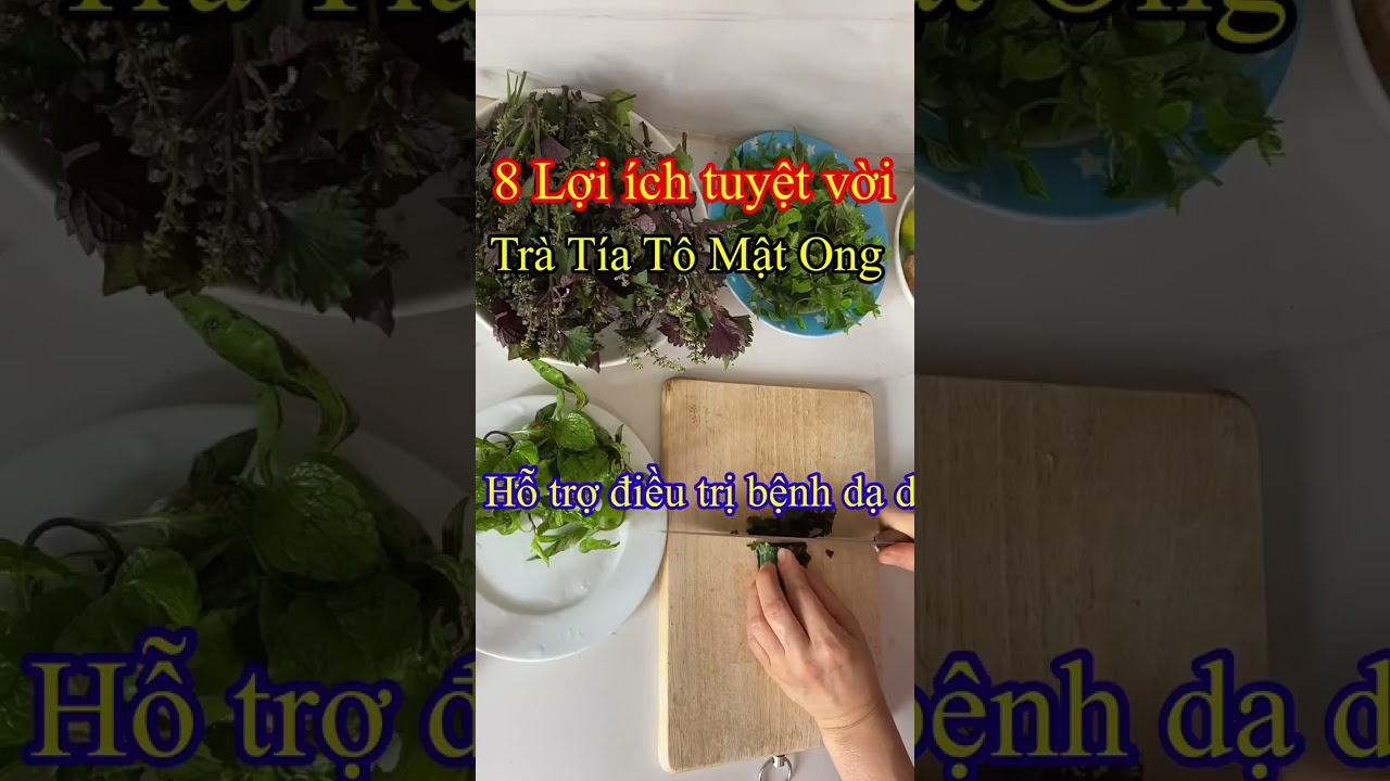 Hướng dẫn Cách nấu nước lá tía tô – Trà Lá Tía Tô Mật Ong có tác dụng gì? 8 lợi ích tuyệt vời của lá tía tô #shorts