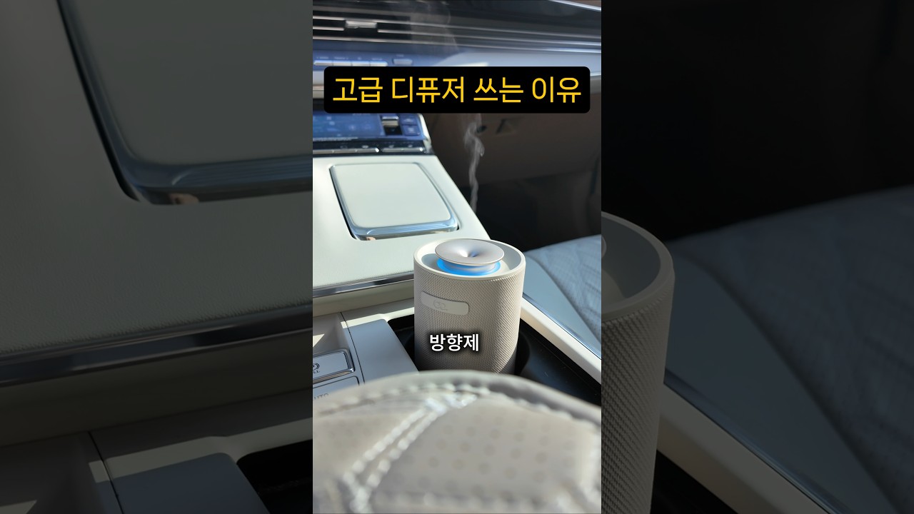 흔한 방향제 썼다가 내장재 다 녹습니다. '이거' 쓰세요!