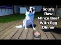 Solo's Raw Mince Beef With Egg Dinner