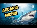 ACUARIO MICHIN PUEBLA #2025 , Recorrido y animales que verás 🦈🐠