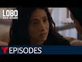 Lobo Morir Matando: Antonia's Decision | Episode 43 | Telemundo English