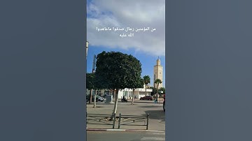 تلاوة خاشعة لآيات من الذكر الحكيم