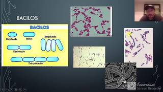 MICRO MODULO 3 SUBMODULO 2