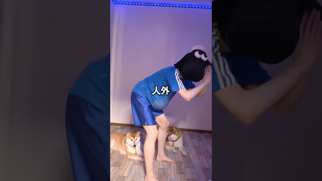 人外とW杯を観戦する柴犬こまちゃん#shrots