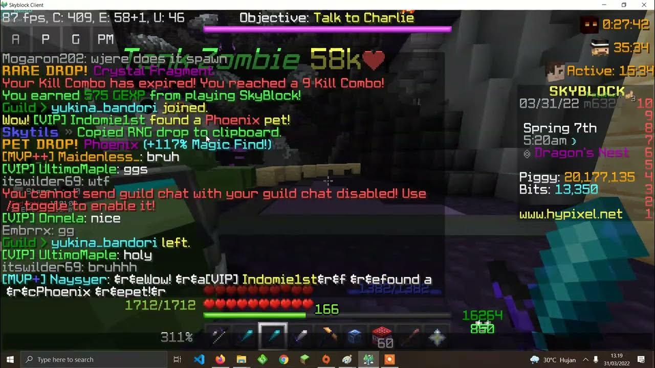 Phoenix Pet Drop Hypixel Skyblock Indonesia YouTube