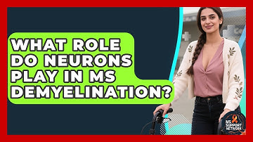 What Role Do Neurons Play In MS Demyelination? - MS Support Network