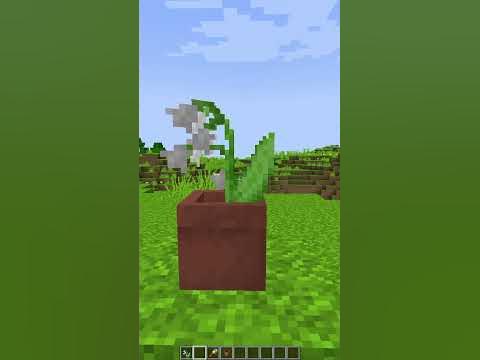 Самый Необычный Цветок в Minecraft | #shorts #minecraft #майнкрафт ...