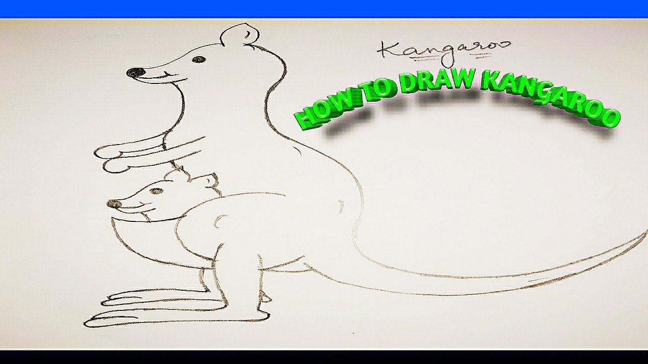 How to draw kangaroos