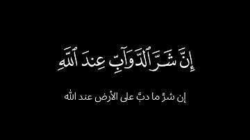 إن شر الدواب عند الله | سورة الأنفال [55 - 63] | صلاح باعثمان