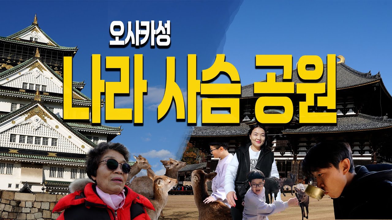 오사카 공원에 사슴이 있다니 ep4 오사카성 사슴공원 나라공원 일본여행