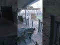 The Most REALISTIC Shooter Has ONE Huge Problem... 😭 #bodycam #gaming