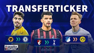 Tottenham holt Solanke für Rekordablöse / Beier vor BVB-Wechsel / Pedro Neto zum FC Chelsea