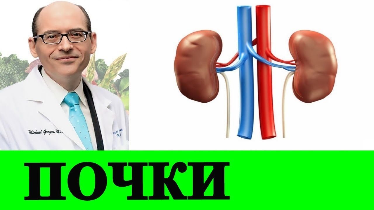 Какая Диета Лучше для Наших Почек?- Доктор Майкл Грегер