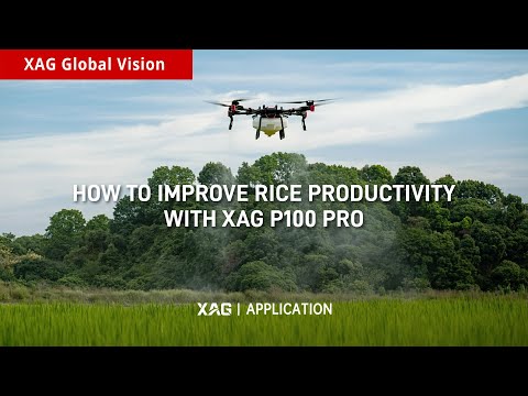 Application | How to Improve Rice Productivity with XAG P100 Pro