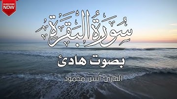 تلاوة مباركة من سورة البقرة  بصوت القارئ أنس  محمود