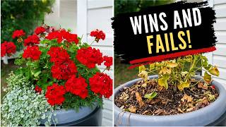 Container Gardening Update: What's Thriving and What Failed