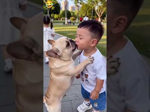 😂😂#mrrahilcomedy ||#comedy #funny #viralvideo #trendingvideo #millionviews