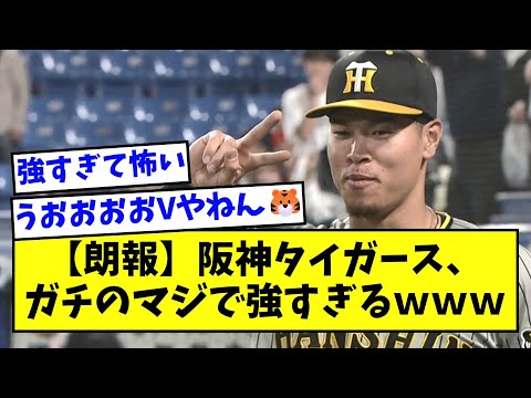 【朗報】阪神タイガース、ガチのマジで強すぎるｗｗｗｗｗｗ【なんJ反応】