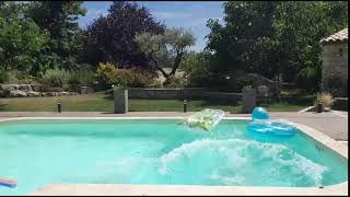 Back Jump In A Pool Goes Wrong!