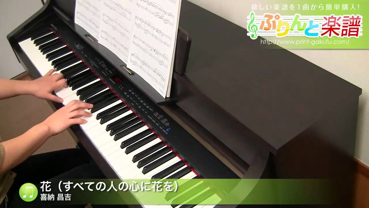 花 すべての人の心に花を 喜納 昌吉 ピアノ ソロ 中級 Youtube 花 すべての人の心に花を 喜納 昌吉 ピアノ ソロ 中級 Youtube