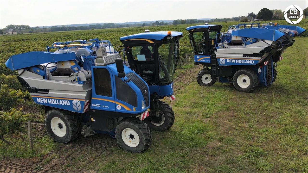 🍇 VENDANGES avec 2 New Holland 🍇