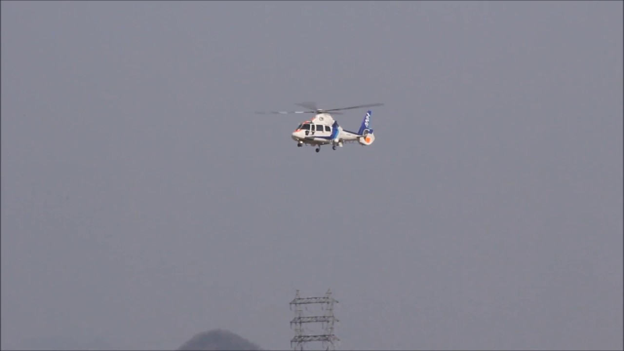 JA63NH [All Nippon Helicopter] Aerospatiale AS365N2 Dauphin2 L/D EastHelipad RJOT