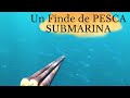 ✅PESCA SUBMARINA en Galicia 🌊Memorias de un Fin de Semana🌊