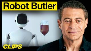 Tech Experts Share The Future of Personal Robots | MOONSHOTS
