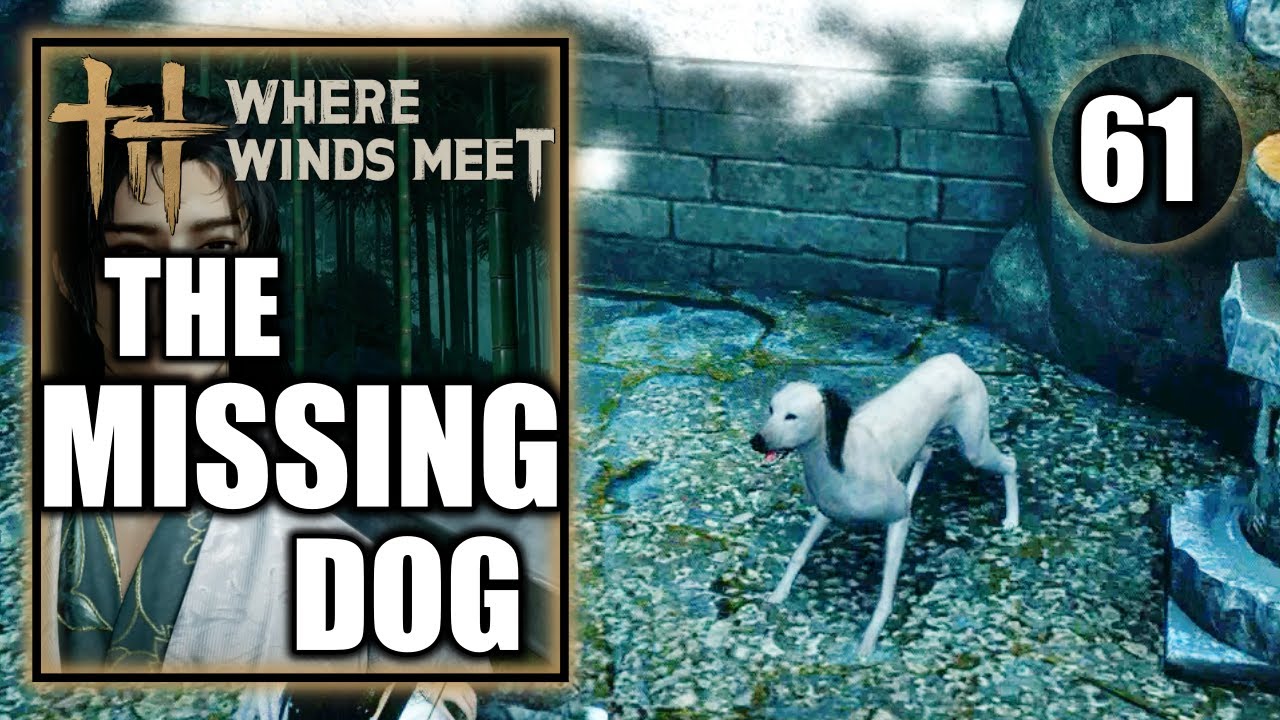 Where Winds Meet - The Missing Dog - Gameplay Walkthrough Part 61