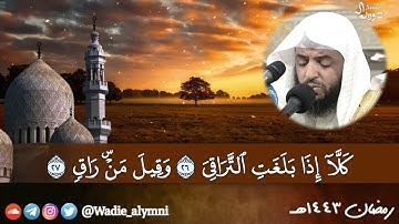 الشيخ #وديع_اليمني تلاوة خاشعة سورة القيامة || #رمضان ١٤٤٣هـ