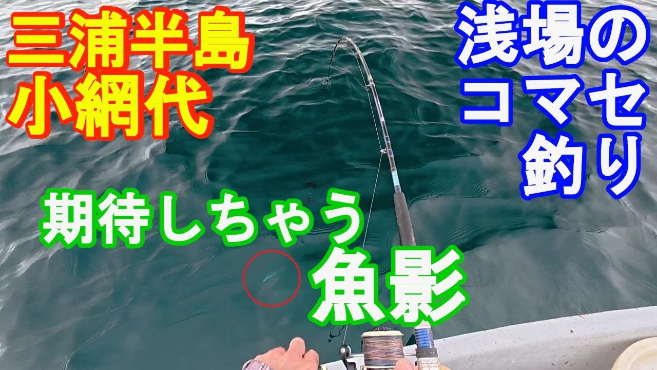 ♯335【小網代ボート釣り】北風強風！浅場のコマセ釣りで大物珍魚！？