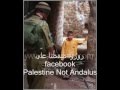 أنشودة نمت فلسطين - سعد الغامدي.wmv