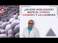 Adelgace Matando el Hongo CANDIDA | Dr. Alonso Vega - Clínica Betesda (Costa Rica)