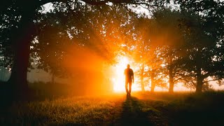 Cinematic Alam Menyambut Matahari Pagi | Nature Cinematic Videos | Sound Sinematik No Copyright