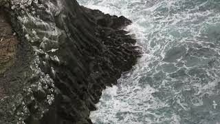 Arnarstapi Cliff Viewpoint Birds colony, Iceland