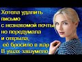 Хотела удалить письмо с незнакомой почты, но передумала и открыла, её бросило в жар. В ушах зашумело