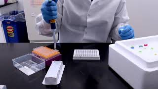 Use a No Template Control (NTC) in your qPCR