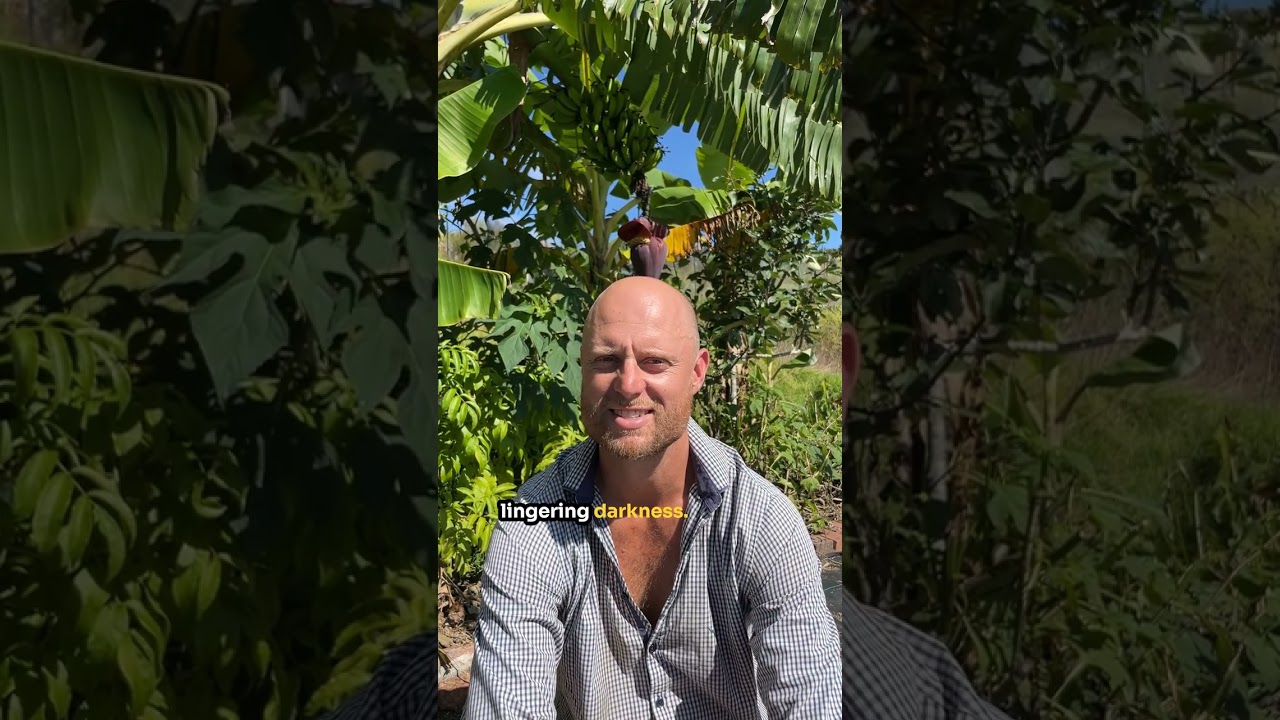 I Lost My Job, Sold Everything… and Moved Into the Bush